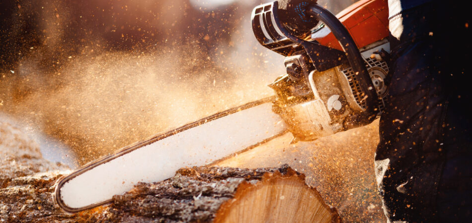 Chainsaw,in,move,cutting,wood.,man,cut,with,saw.,dust
